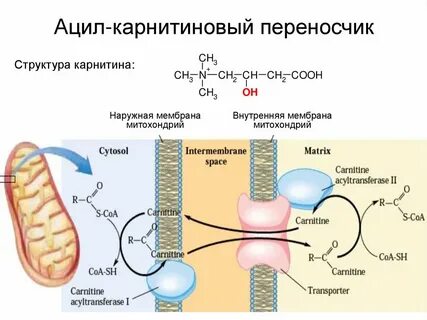 Ацил