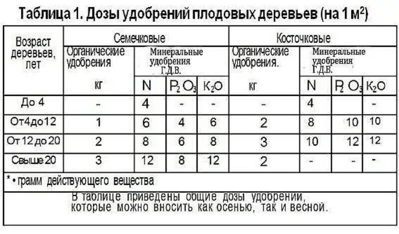 Удобрения под плодовые. Нормы внесения удобрений для плодовых деревьев. Нормы внесения Минеральных удобрений под плодовые деревья. Таблица внесения удобрений под плодовые деревья весной.