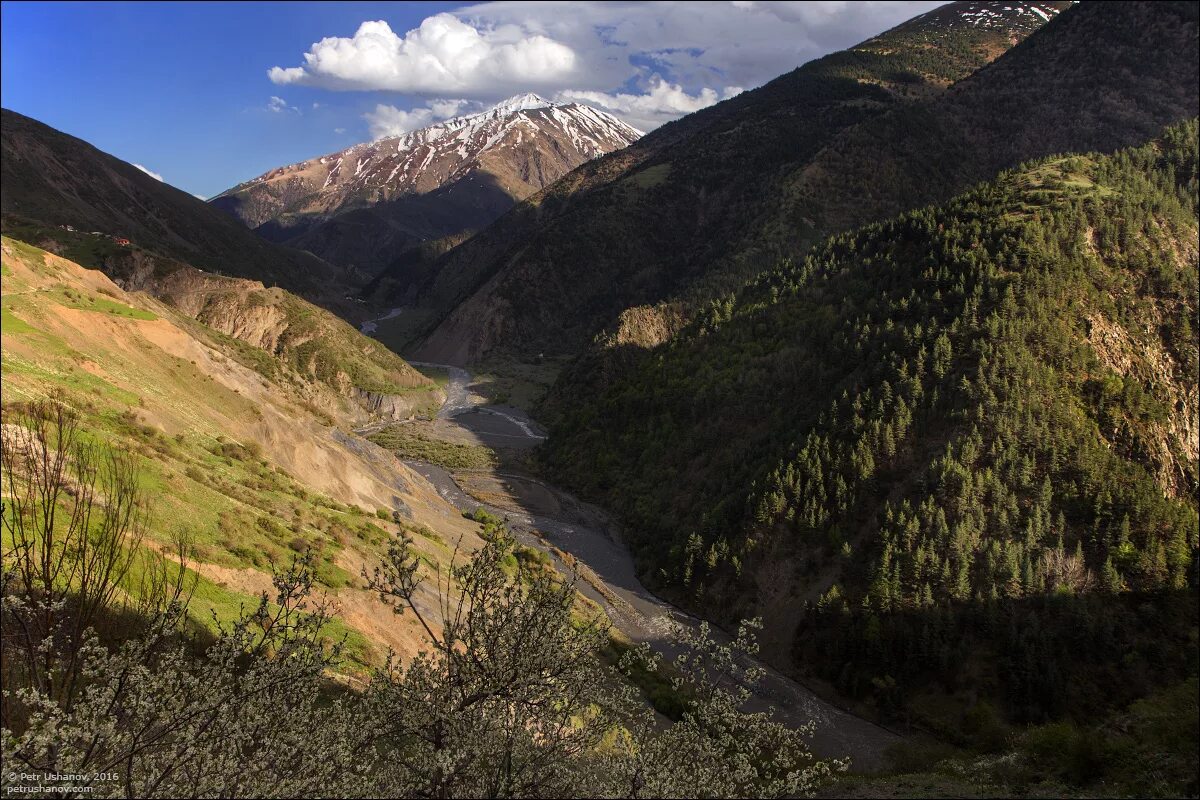 Самур азербайджан. Долина реки Самур. Река Самур в Дагестане. Цахурская Долина Дагестан. Самурская Долина Южный Дагестан.