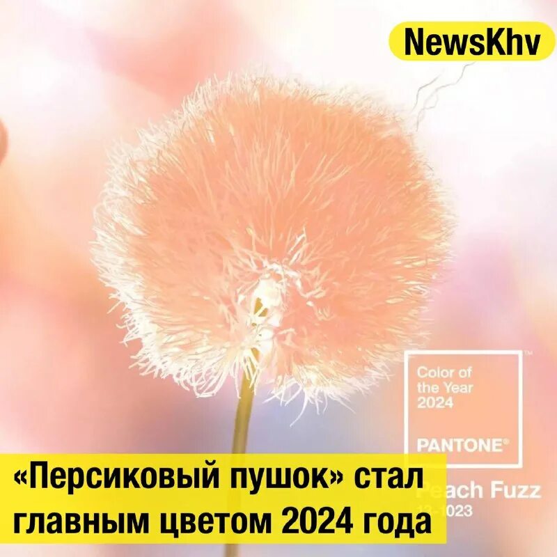 Персиковый пушок 13 1023 peach fuzz. Персиковый пушок 13 1023 peach fuzz. Персиковый пушок 13 1023 peach fuzz. Персиковый пушок 13 1023 peach fuzz. Персиковый пушок 13 1023 peach fuzz.