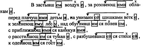 Упр 311