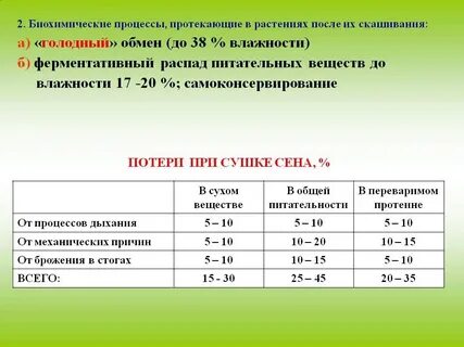 Потеря в массе при высушивании