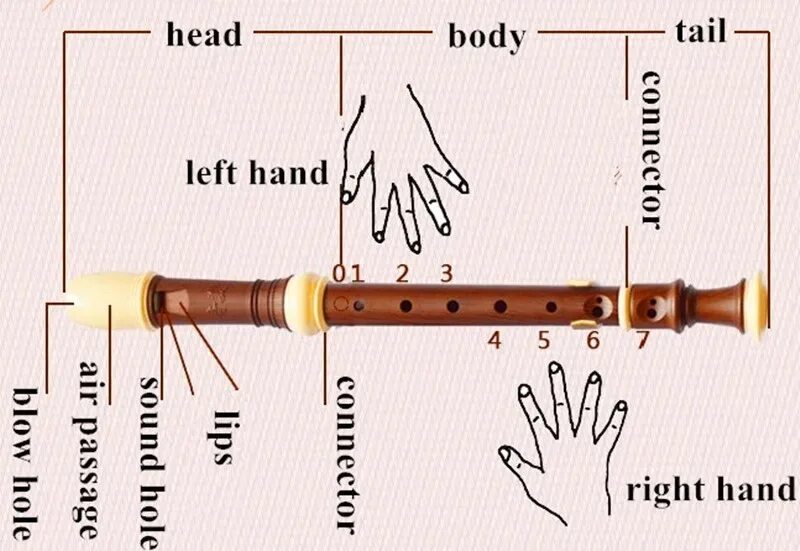 Отверстие 8 букв. Китайская флейта c 8 отверстий. Строение флейты. Флейта строение инструмента. Структура флейты.