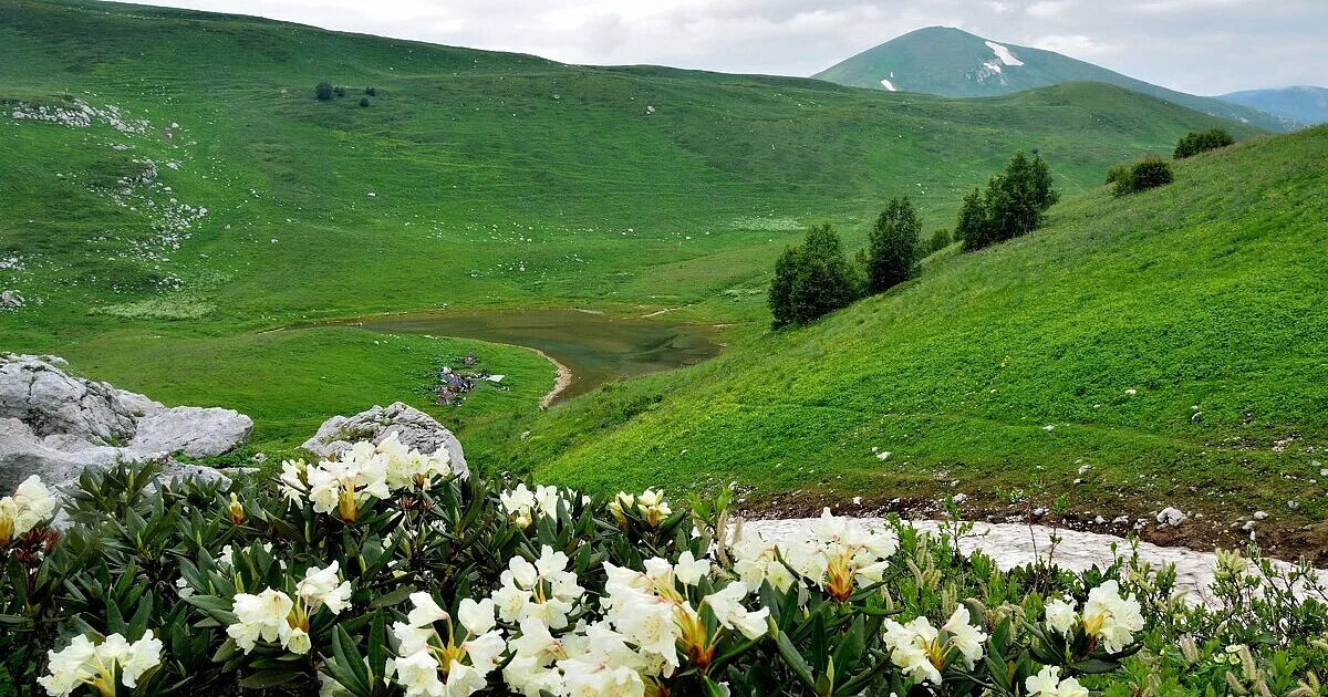 Погода на неделю республика адыгея. Озеро Псенодах Адыгея. Адыгея плато Лагонаки озеро Псенодах. Оштен, озеро Псенодах.. Горное озеро Псенодах.