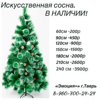 446 расписание хвойный красное