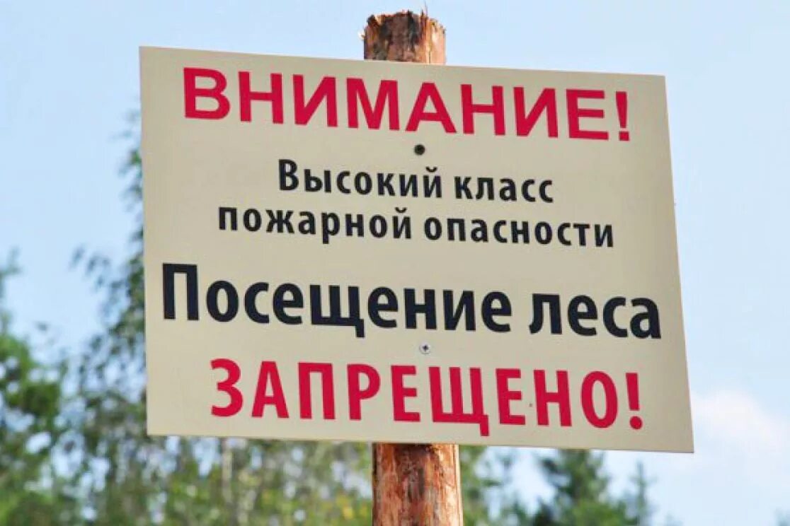 Неограниченное посещение. Неограниченное посещение