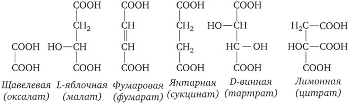 Яблочный уксус apple vinegar. Винная и яблочная кислоты. Кислота яблочная. Винная и яблочная кислоты. Яблочный уксус.