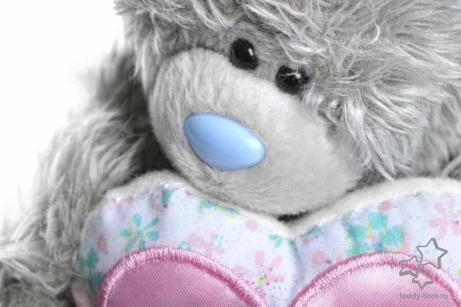 Канал тедди. Игрушка плюшевая школа. Мишка с заплатками. Тедди с подарком. Мишка тедди выглядывает.