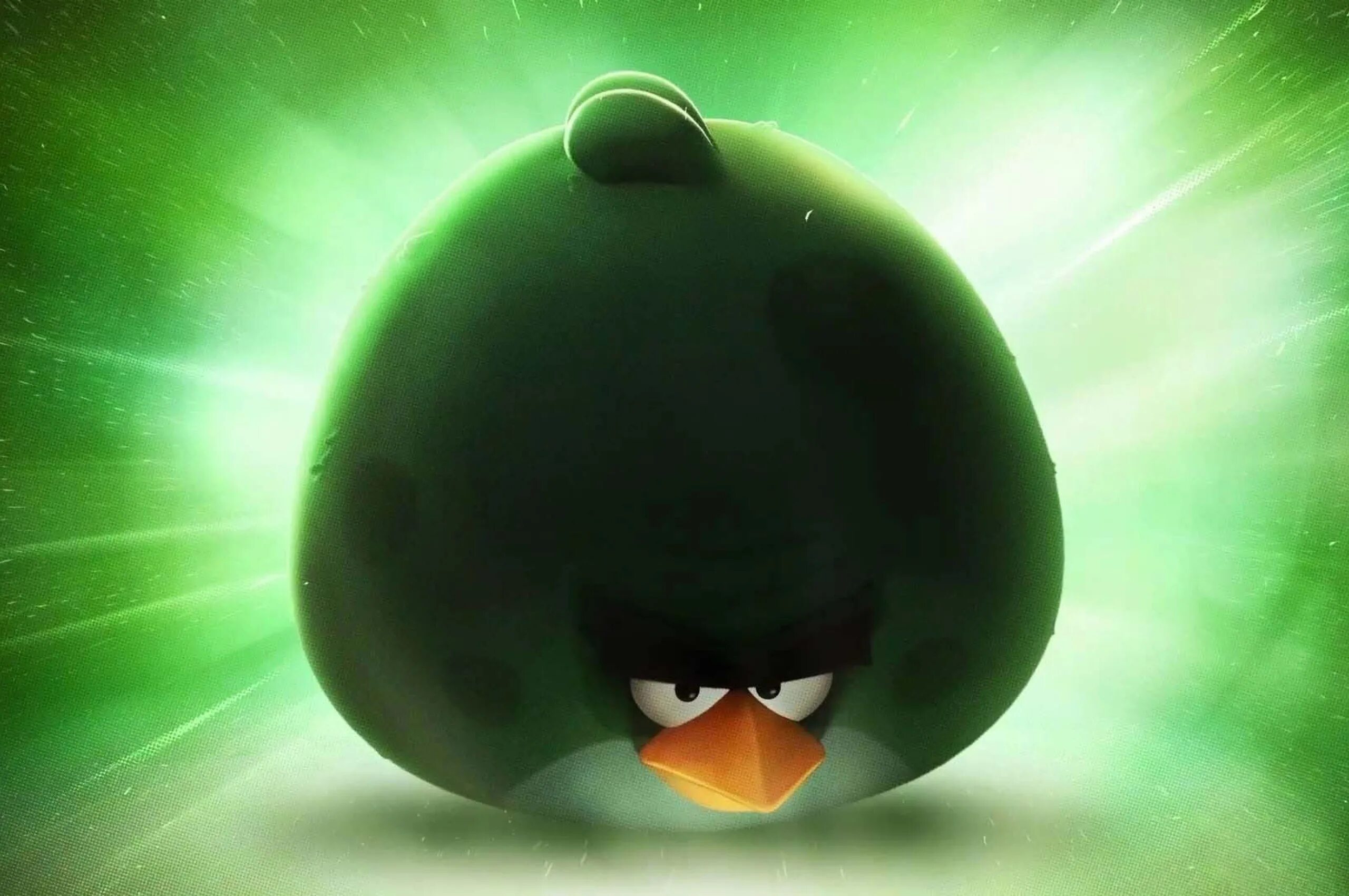 Angry birds 4.1