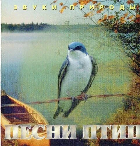 журавли в небе живопись. картина журавли. птичка hammali. песня когда уйдем со школьного двора текст песни. улетающие журавли и человек.