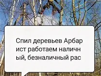 Арбарист