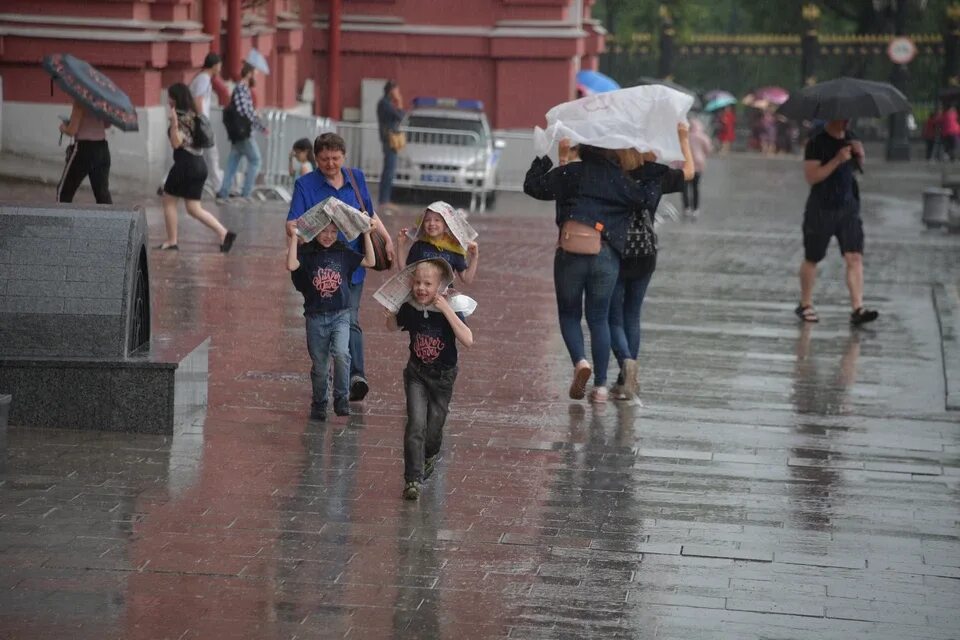 Какая сейчас погода видео
