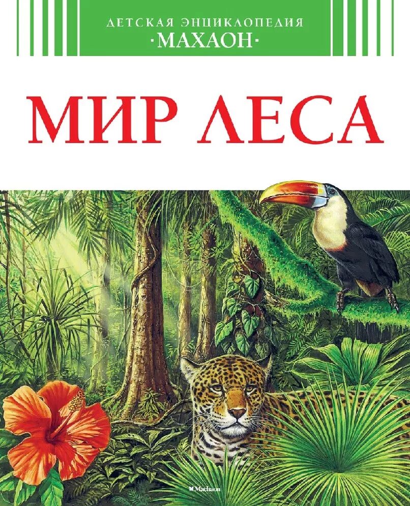 Книга лес. Детская энциклопедия Махаон мир леса. Книга леса. Мир леса книга. Книга в лесу.