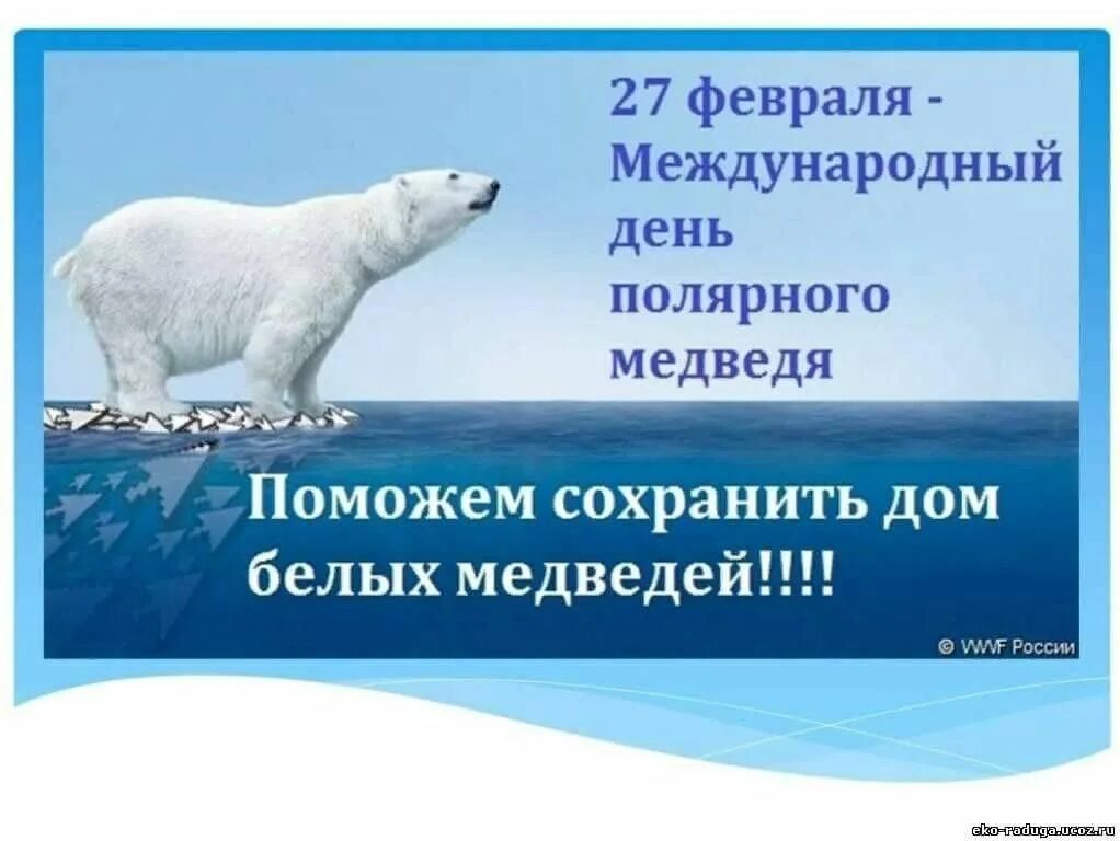 Международный день белого медведя 2024. Международный день белого медведя 2024. Международный день полярного белого медведя 27 февраля. Международный день белого медведя 2024. Международный день полярного медведя.