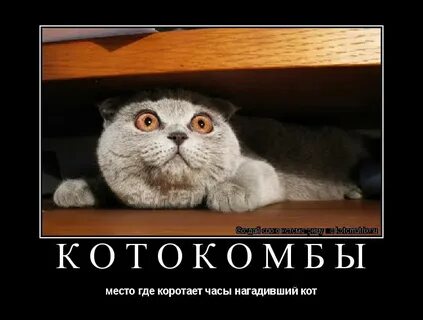 Коротать