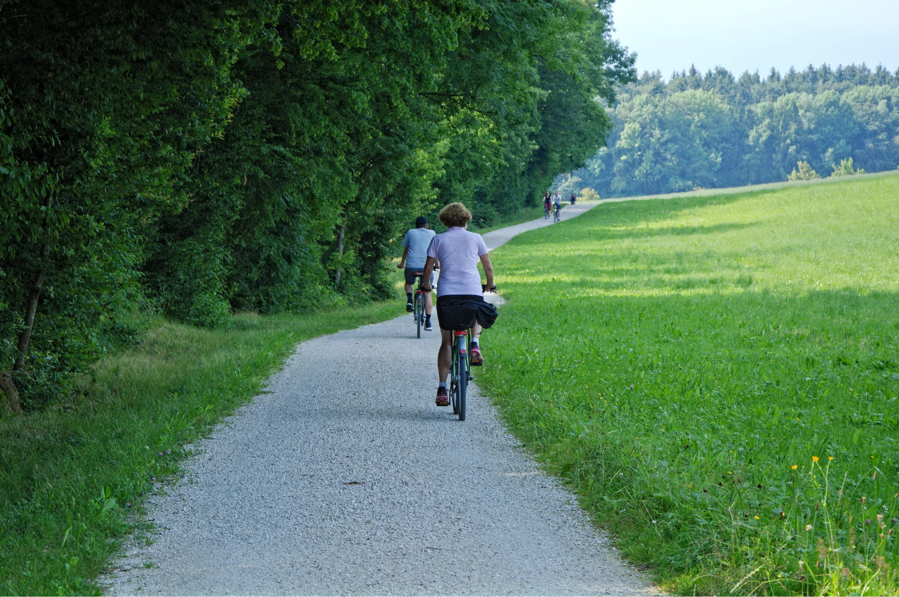 Велосипедная дорожка в парке. Велосипедная дорожка в лесу. Велосипед на велодорожке. Велосипед на тропинке.