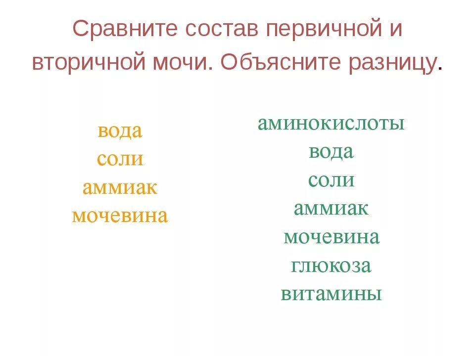 Первичная моча отличается от плазмы крови отсутствием. Состав первичной и вторичной мочи анатомия. Состав первичной и вторичной. Состав первичной и вторичной мочи таблица. Состав первичной и вторичной моч.