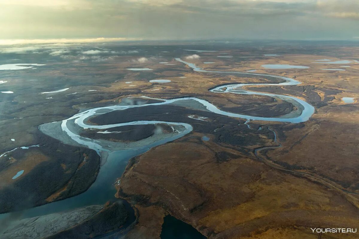 Природный заповедник гыданский. Национальный парк «гыданский» в яма́ло-не́нецкий автоно́мный о́круг. Гыданский тундра. Гыданский национальный парк. Гыданский заповедник тюменской области.