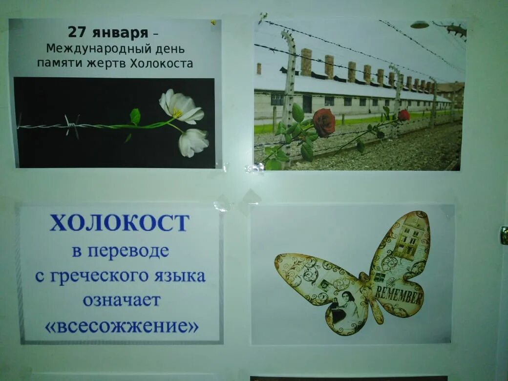 бабочки памяти холокоста. акция бабочки памяти холокост. бабочка акция. проект бабочка холокост. акция бабочка в детском саду.