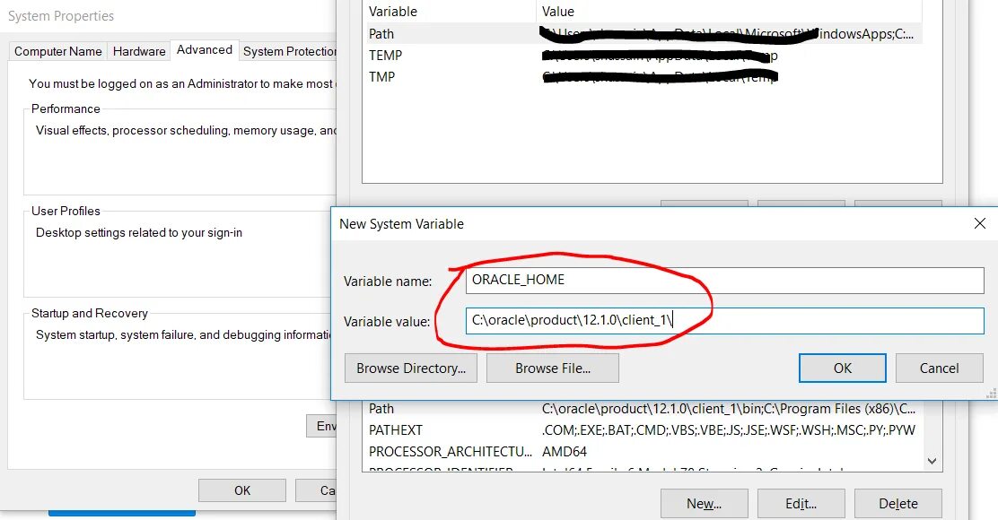 Oracle переменные. Oracle home.