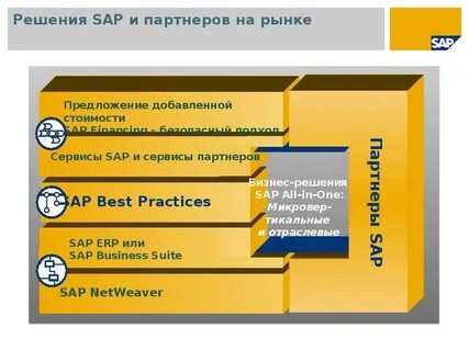 Sap partner
