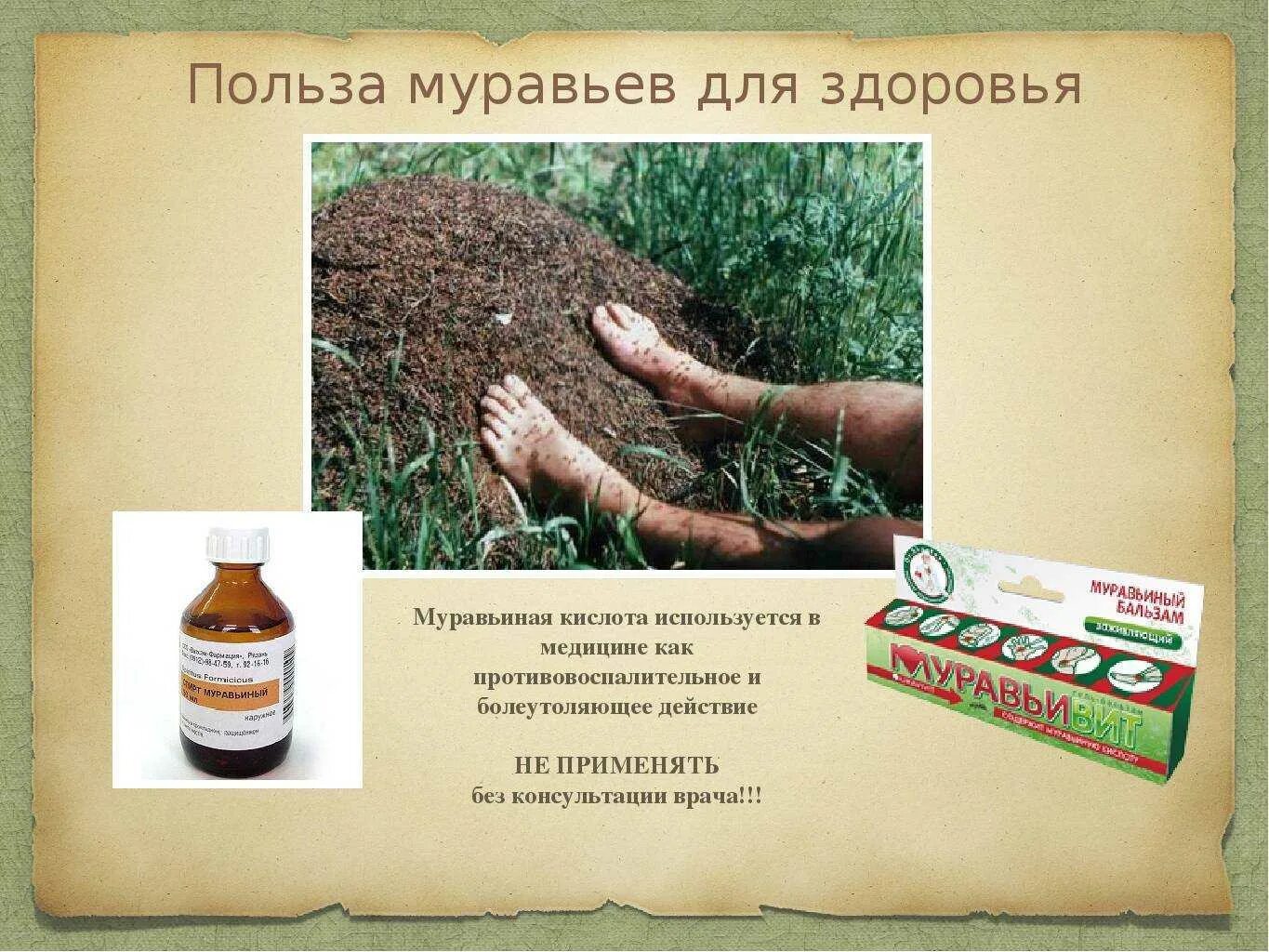 Как применять муравьиную кислоту