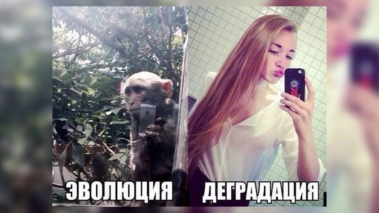 Современные девушки демотиватор. Деградированная девушка. Российская молодежь деградирует. Деградация молодежи. Деградация молодежи.