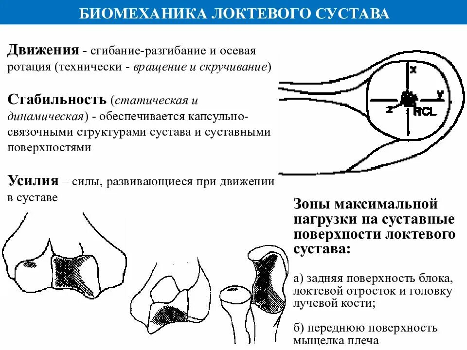 Максимальные движения суставов. Суставная поверхность локтевого сустава. Ротация локтевого сустава. Локтевой сустав суставные поверхности. Связочный аппарат локтевого сустава.