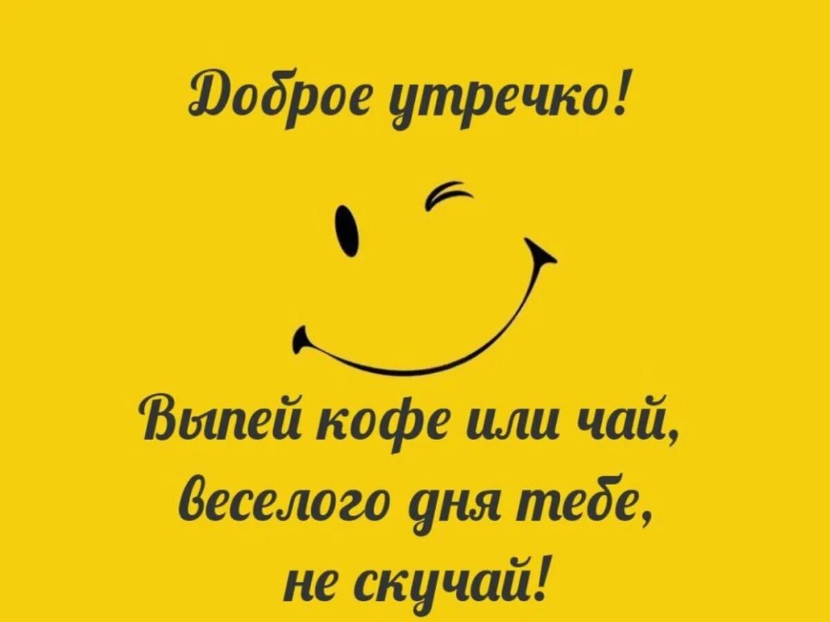 Доброе утро шутка картинки. Пожелания с добрым утром прикольные. открытки с добрым утром смешные. шуточные пожелания с добрым утром. смешные пожелания с добрым утром.