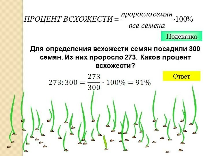 Процент всхожести семян. Определение процента всхожести семян. Как определить всхожесть семян. Прорастание и всхожесть семян. Как проверить всхожесть семян томатов перед посадкой