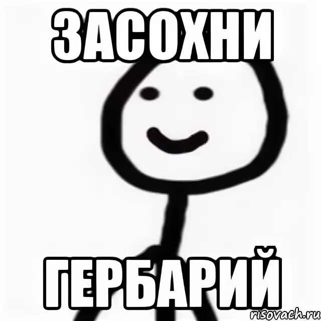 Высохший мем. Засохни гербарий. гербарий мем. теребонька мем.