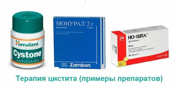 Пить таблетки мочевого пузыря. Таблетки для мочевого пузыря. Лекарство от простуды мочевого пузыря. Таблетки при простуде мочевого пузыря. Для мочевого пузыря лекарство для женщин.