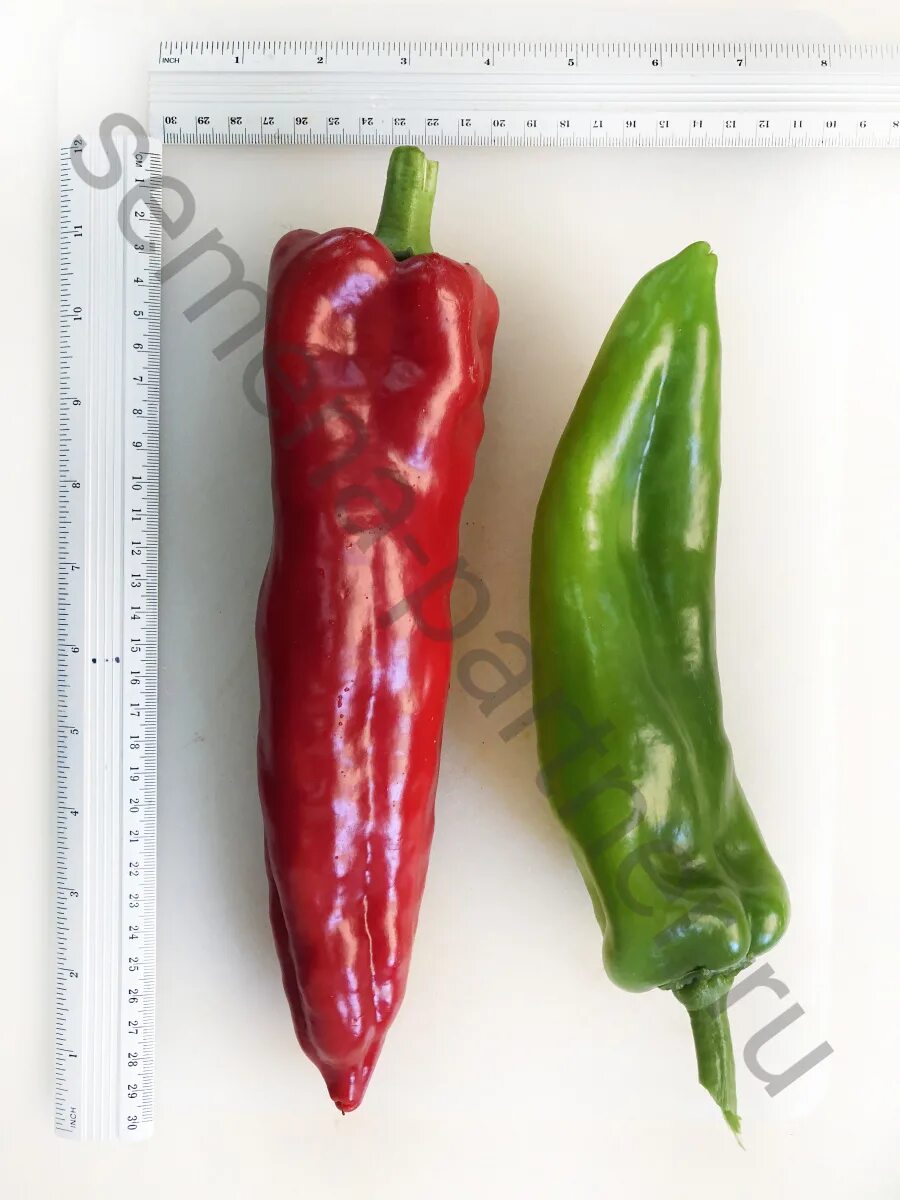 Сорт перца венгерская паприка. Ласанта f1. Перец сладкий ласанта. Перец ласанта партнер. Перец ласанта описание сорта фото отзывы.