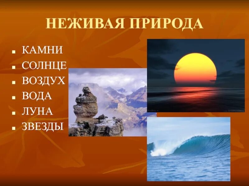 Назвал солнце камнем 9 букв