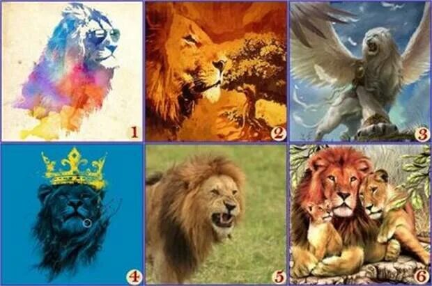 Психологический тест выбери Льва. Тест выбери животное. Лев какая Страна подходит льву?. Какие девушки подойдут льву