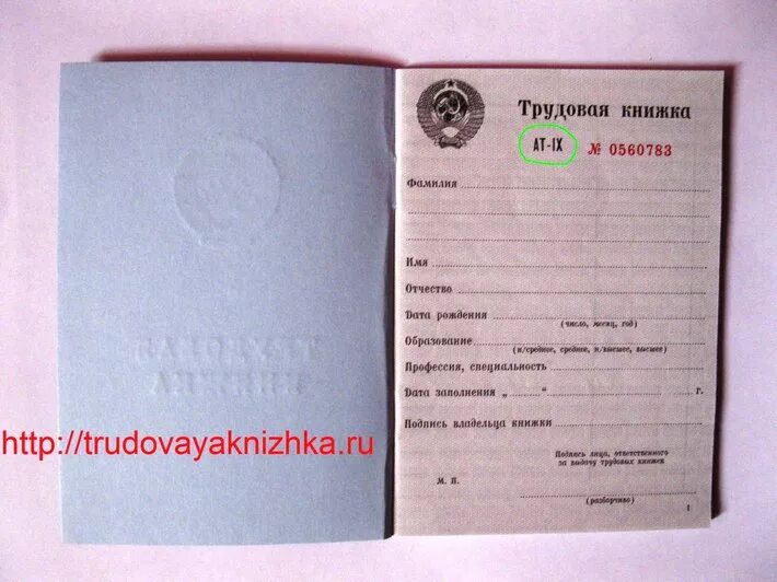 Трудовая книжка. Трудовая книжка образца 2003 года. Трудовая книжка образца 2001 года. Трудовая книжка образец.