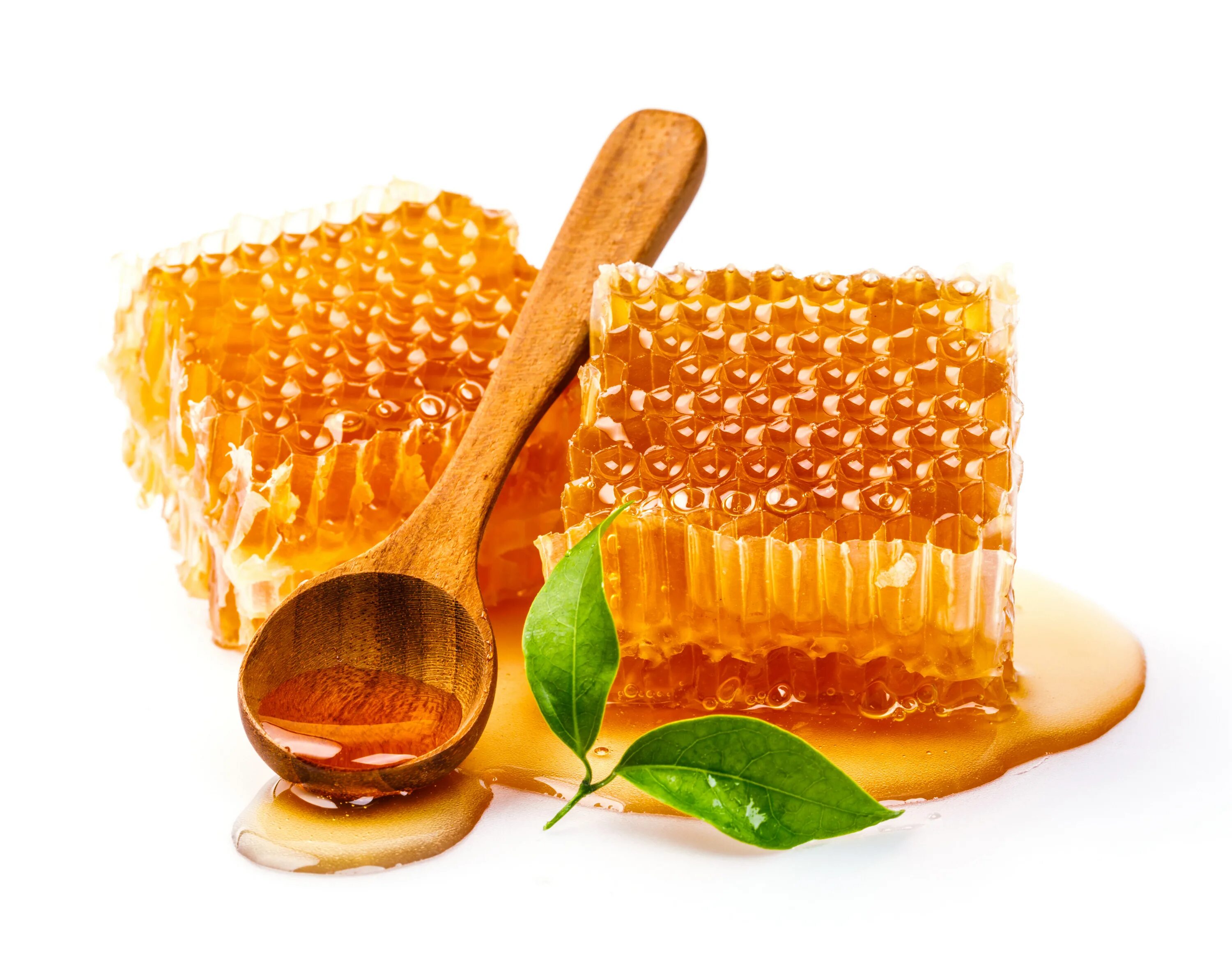 Honey медовый. Соты. Мед. Медовые соты на белом фоне. Мед соты на белом фоне.