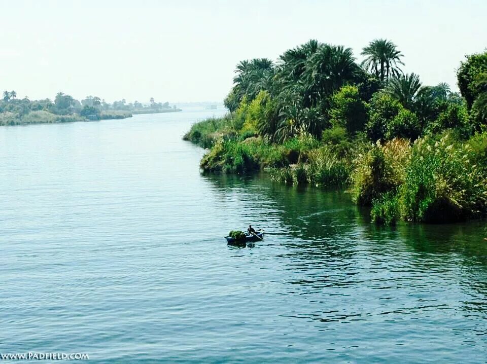 The river nile into the. The river nile into the