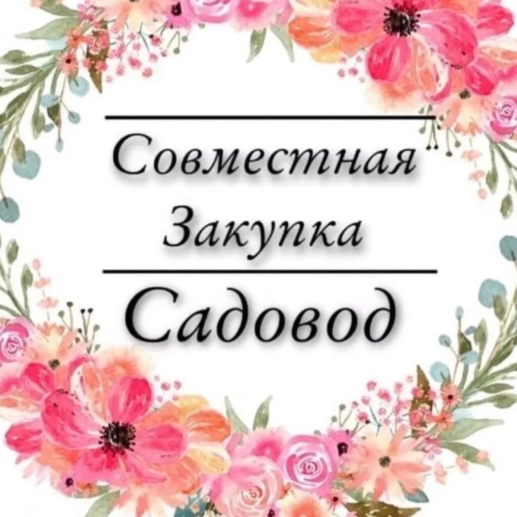 Совместные закупки садовод. Закупки с рынка садовод. Сп садовод. Садовод покупки. Посредник рынка садовод.