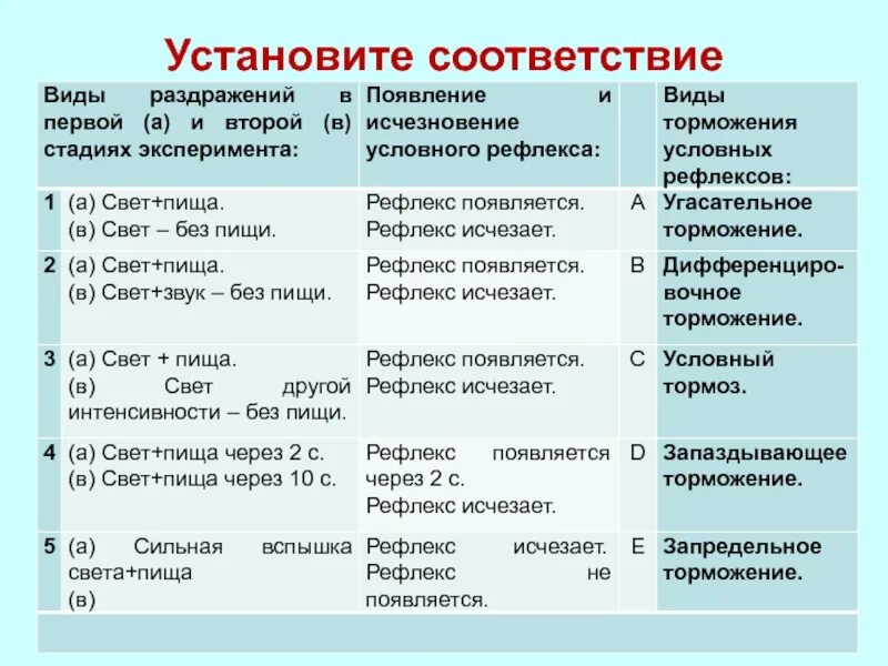 Установите соответствие мобильная связь. Виды торможения рефлексов. Запредельное торможение условных рефлексов. Виды торможения таблица. Стадии условного рефлекса.