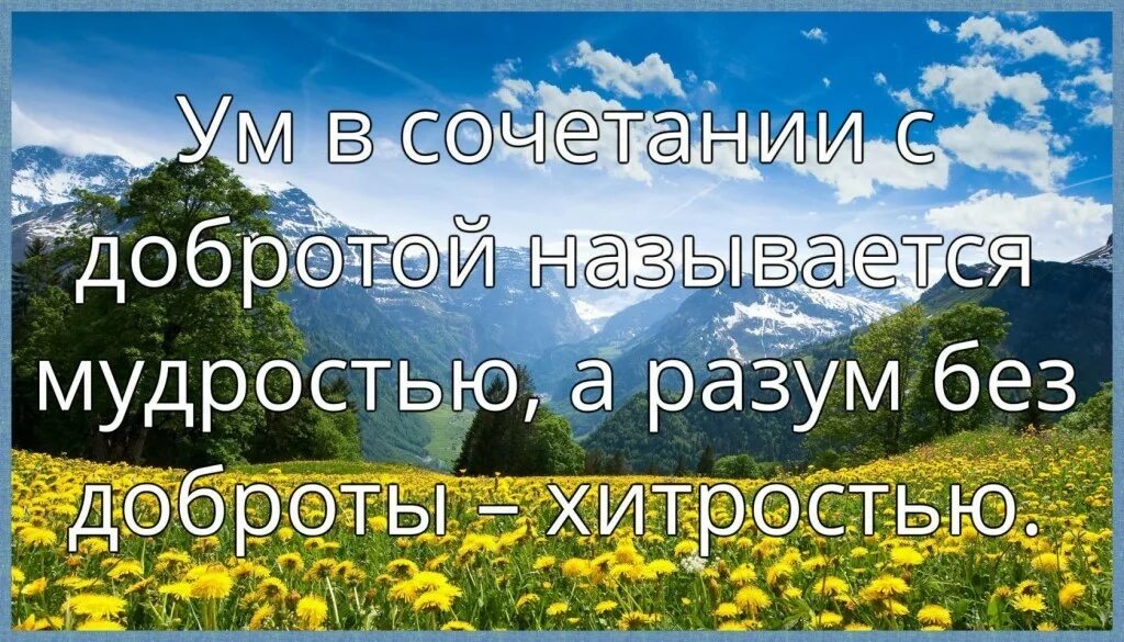 Мудрость это ум соединенный с добротой. Мудрость и хитрость. Мудрость это ум соединённый с добротой ум без доброты хитрость. Хитрость без доброты. Пословица доброта без разума пуста