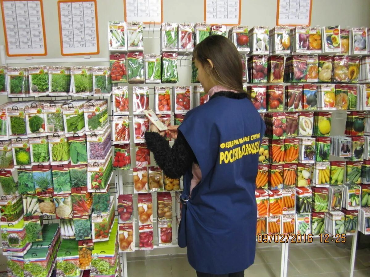 семена на витрине в пакетиках. ботаника балаково. россия пенза улица суворова 225 зеленый дом. семена почтой. оптовые магазины семян в москве.