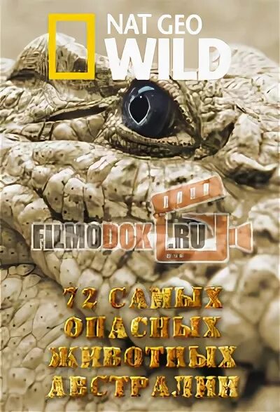 72 самых опасных животных. 72 самых опасных животных