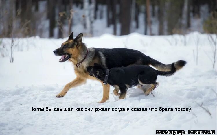 Помогать друг другу. Помоги брат. Кира ионуш из магнитогорска. Пацанские цитаты мемы. Настоящая детская дружба.