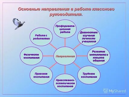 Анализ работы классного руководителя 11 класса