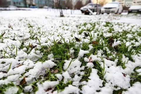 Почему стоит снег