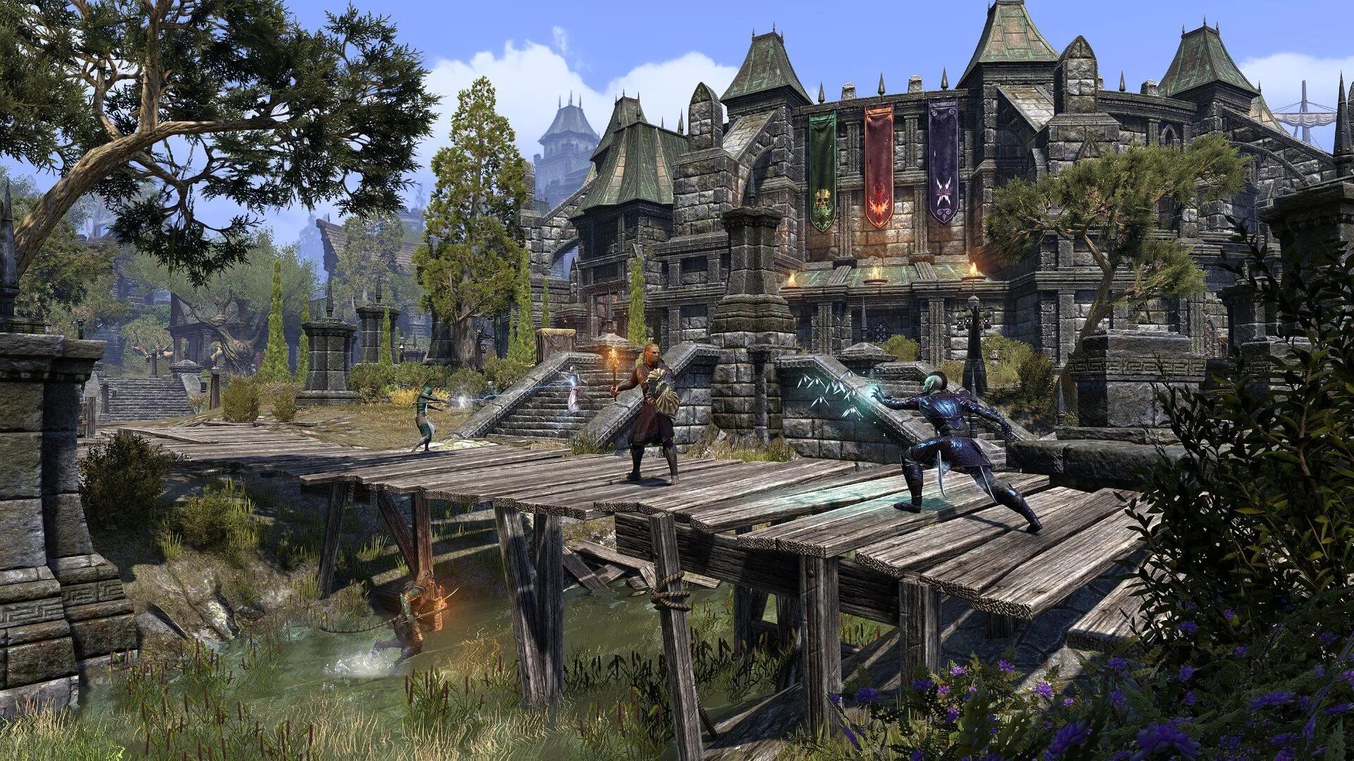 Elder private. The Elder Scrolls online2013. Элдер скролс 7. Элдер скроллз 2.