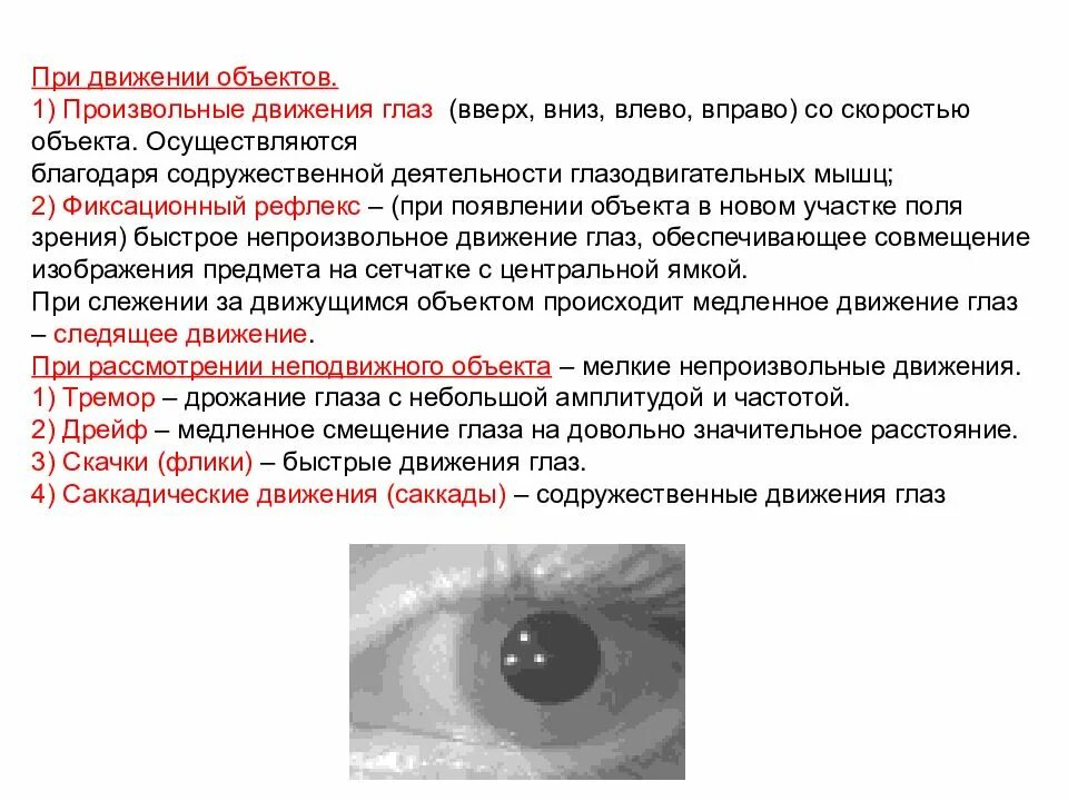 Нарушение движения глаз. Движение глазных яблок. Быстрое движение глаз. Нарушения движения глаз. Содружественное движение глаз.