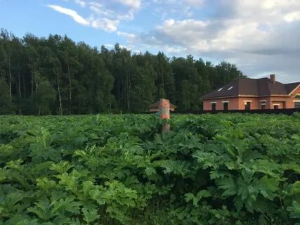 Деревня красновидово
