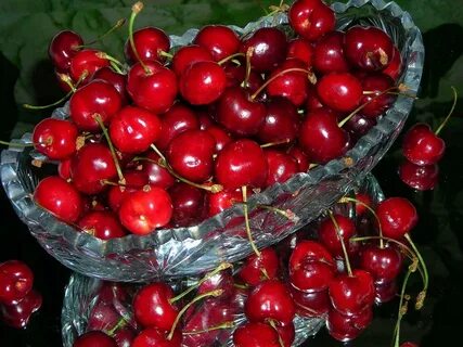 Вишня уральская описание сорта